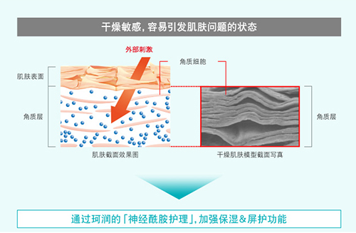 当前图片注释